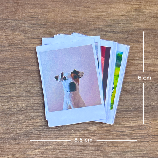 Stunning Polaroids (Set of 5)